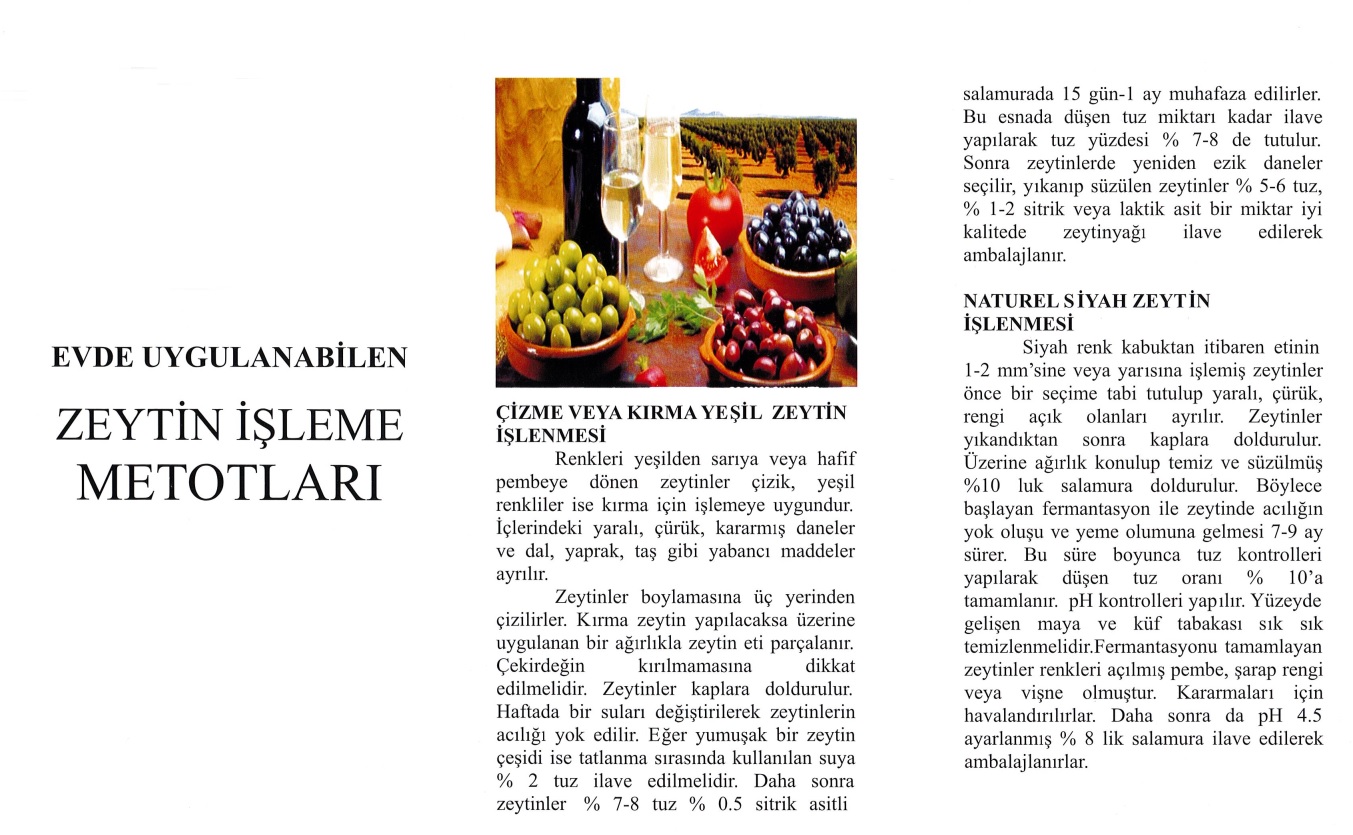 Read more about the article Zeytin Hasadı Bilgilendirme